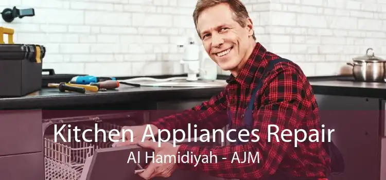 Kitchen Appliances Repair Al Hamidiyah - AJM