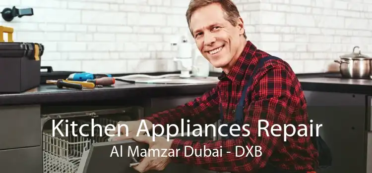 Kitchen Appliances Repair Al Mamzar Dubai - DXB