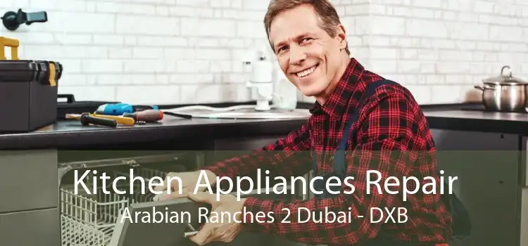 Kitchen Appliances Repair Arabian Ranches 2 Dubai - DXB