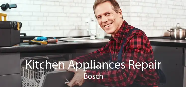 Kitchen Appliances Repair Bosch
