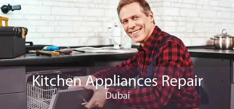 Kitchen Appliances Repair Dubai