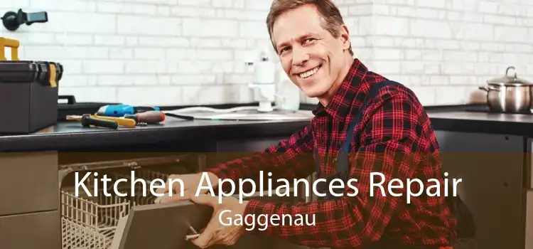 Kitchen Appliances Repair Gaggenau