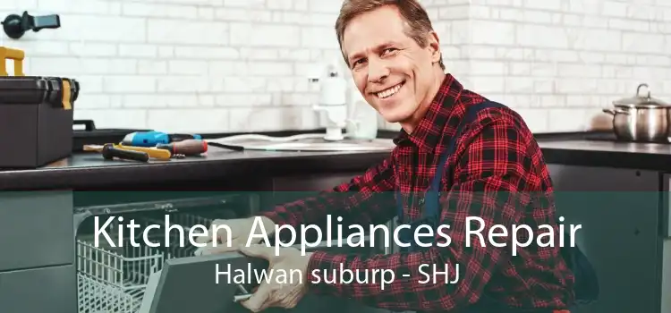 Kitchen Appliances Repair Halwan suburp - SHJ