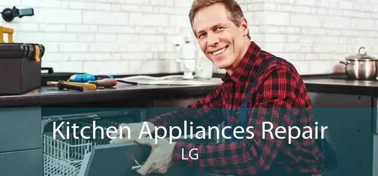 Kitchen Appliances Repair LG