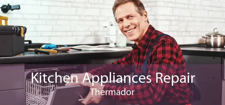 Kitchen Appliances Repair Thermador