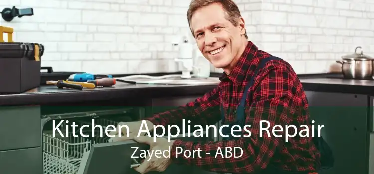 Kitchen Appliances Repair Zayed Port - ABD