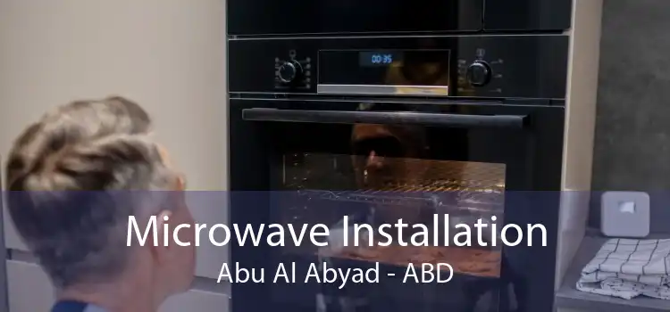 Microwave Installation Abu Al Abyad - ABD