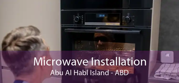 Microwave Installation Abu Al Habl Island - ABD