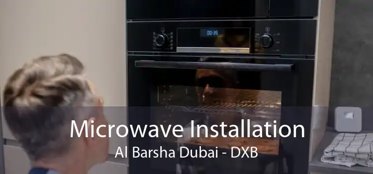 Microwave Installation Al Barsha Dubai - DXB