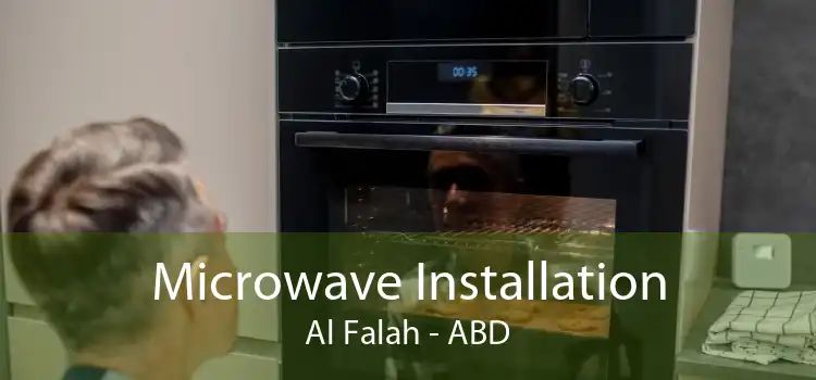 Microwave Installation Al Falah - ABD