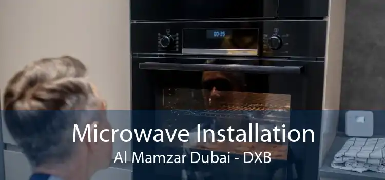 Microwave Installation Al Mamzar Dubai - DXB