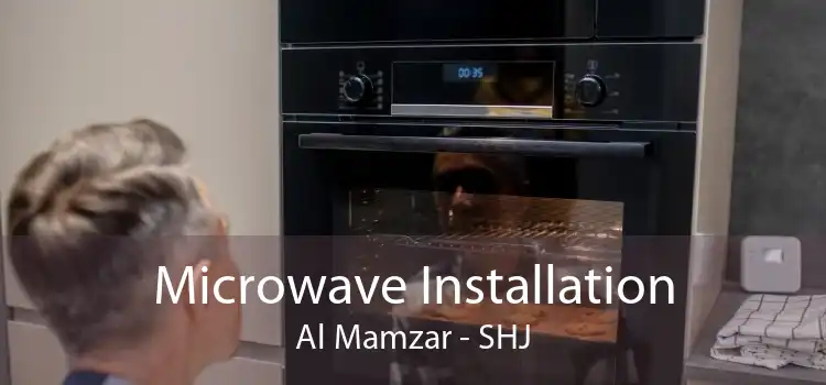 Microwave Installation Al Mamzar - SHJ