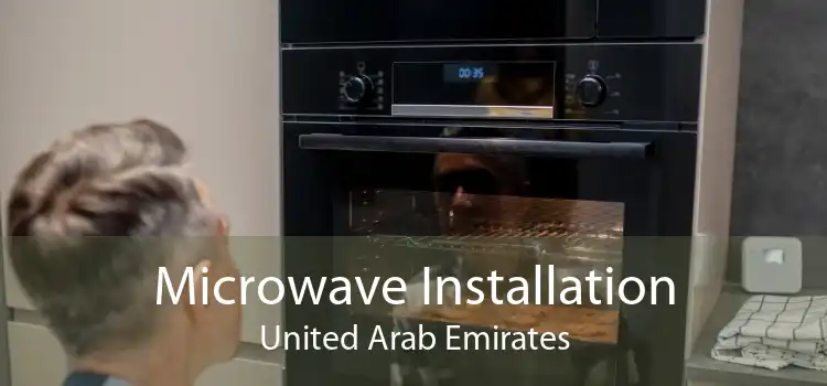 Microwave Installation United Arab Emirates