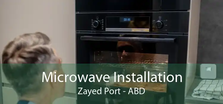 Microwave Installation Zayed Port - ABD