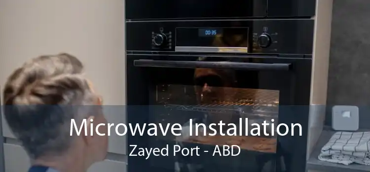 Microwave Installation Zayed Port - ABD