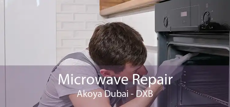 Microwave Repair Akoya Dubai - DXB