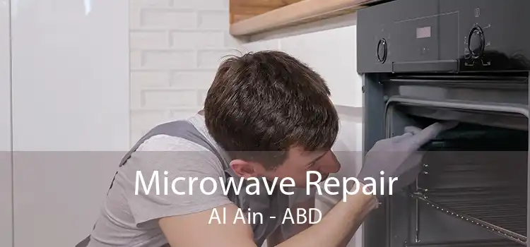 Microwave Repair Al Ain - ABD