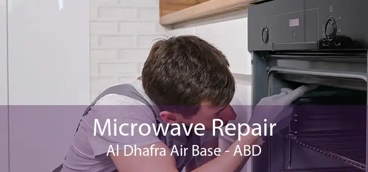 Microwave Repair Al Dhafra Air Base - ABD