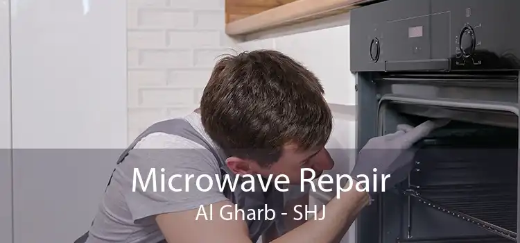 Microwave Repair Al Gharb - SHJ