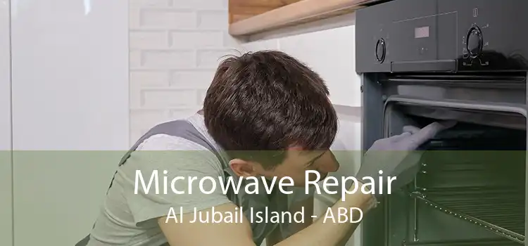 Microwave Repair Al Jubail Island - ABD