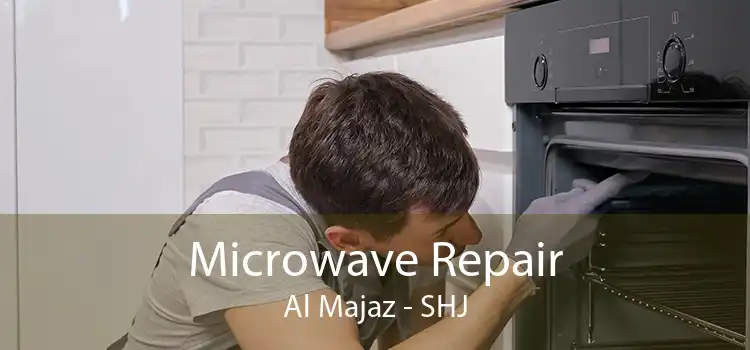 Microwave Repair Al Majaz - SHJ