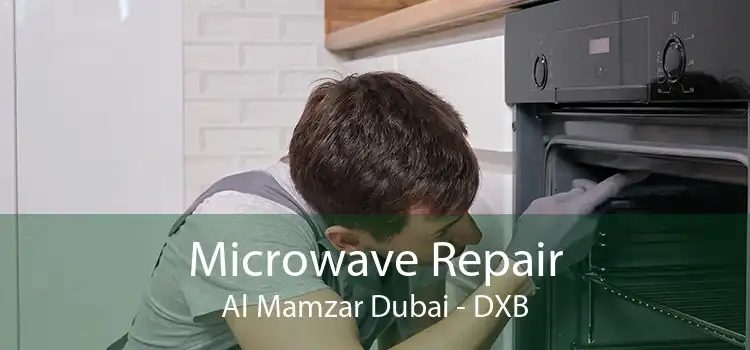Microwave Repair Al Mamzar Dubai - DXB