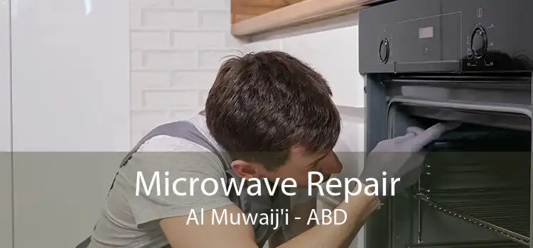 Microwave Repair Al Muwaij'i - ABD