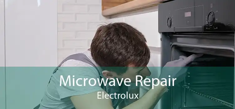 Microwave Repair Electrolux