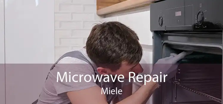 Microwave Repair Miele