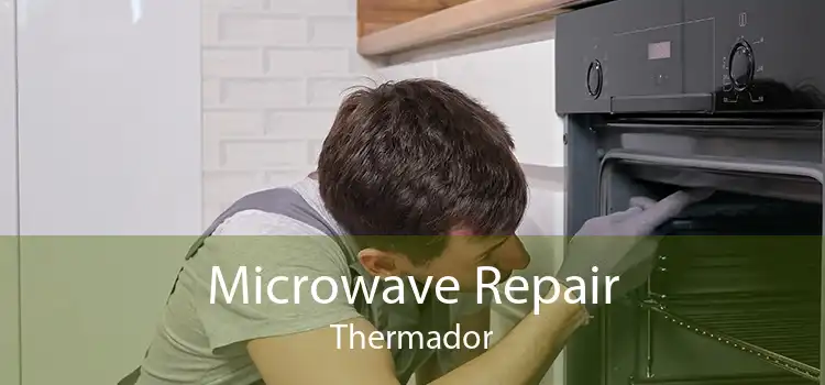 Microwave Repair Thermador