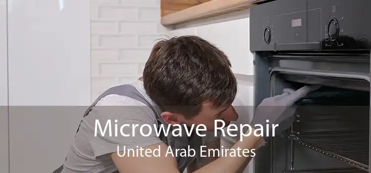 Microwave Repair United Arab Emirates