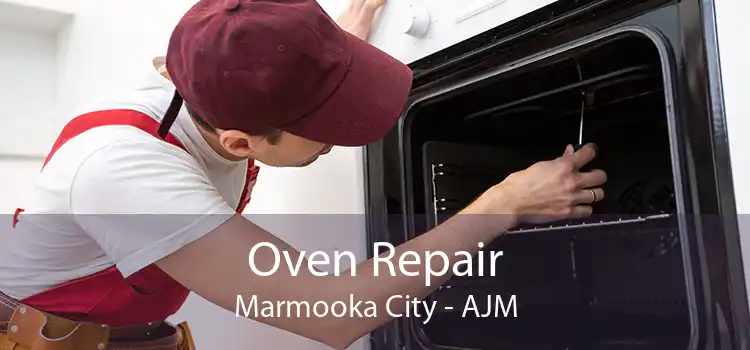Oven Repair Marmooka City - AJM