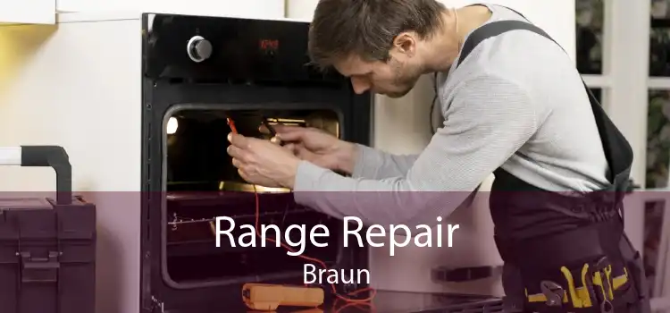 Range Repair Braun