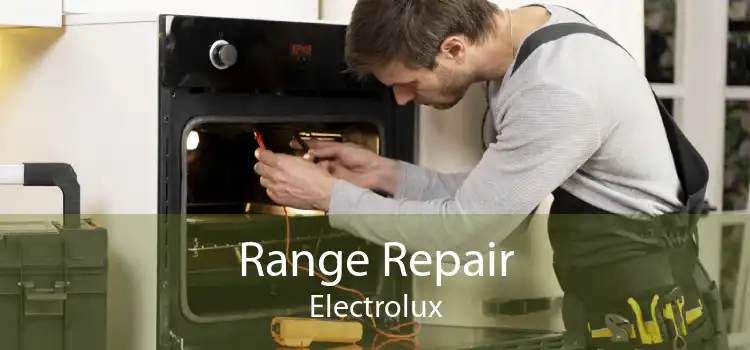 Range Repair Electrolux