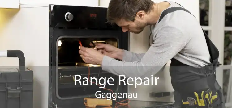 Range Repair Gaggenau