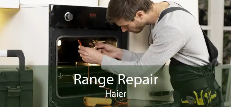 Range Repair Haier