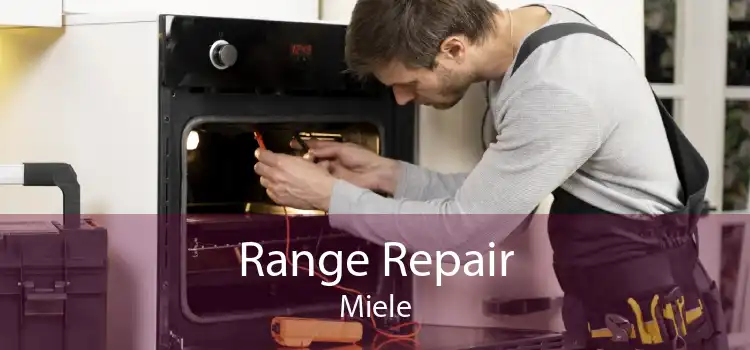Range Repair Miele