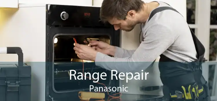 Range Repair Panasonic