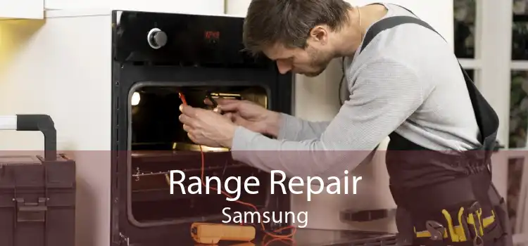 Range Repair Samsung