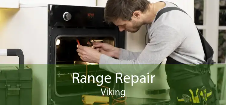 Range Repair Viking