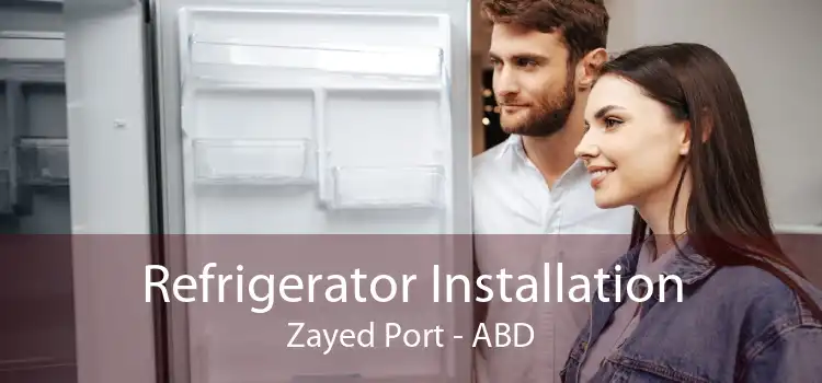 Refrigerator Installation Zayed Port - ABD